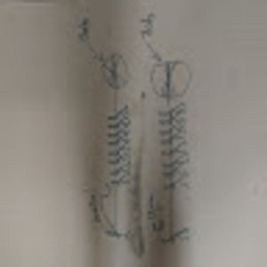 Meet your Posher, Jonathan